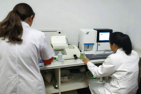 北京新探花在线观看免费高清中字生物介绍补钙对探花在线观看免费高清中字有哪些优势